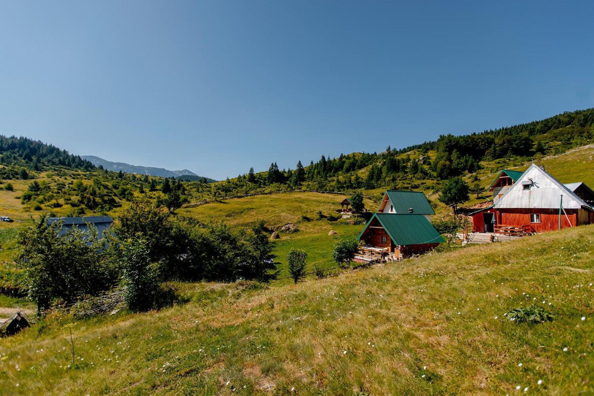 Household Uscumlic - Oaza Mira Bed and Breakfast Plužine Eksteriør billede